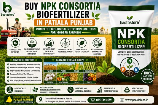 Buy NPK Consortia Biofertilizer in Patiala Punjab – Complete Biological Nutrition Solution for Modern Farming