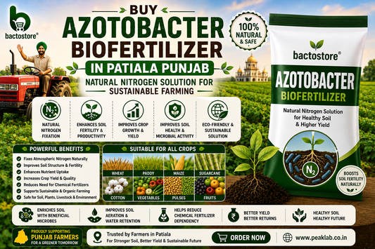 Buy Azotobacter Biofertilizer in Patiala Punjab – Natural Nitrogen Solution for Sustainable Farming