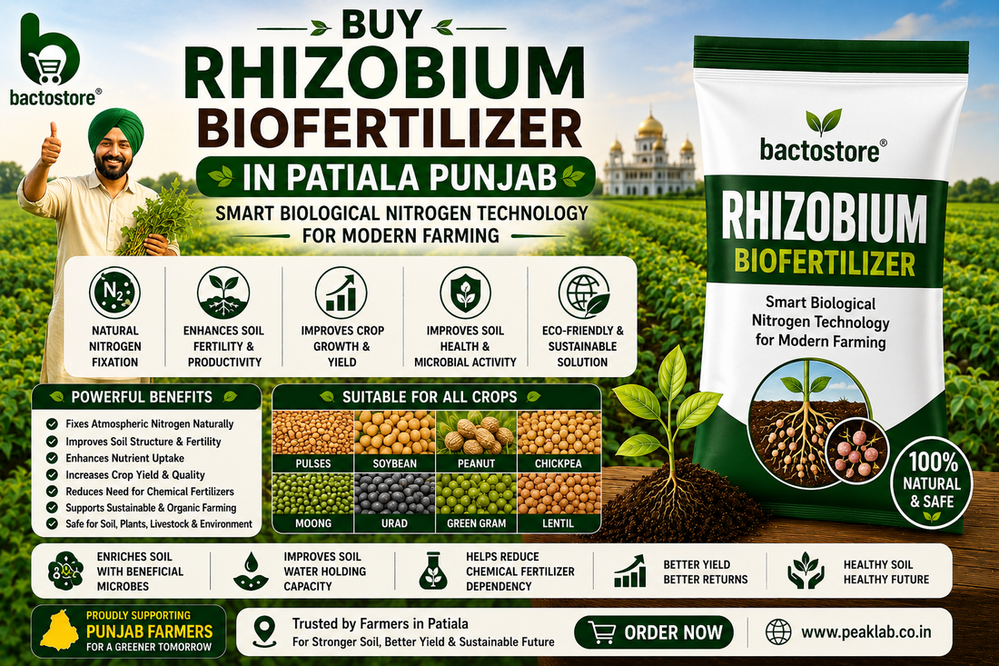 Buy Rhizobium Biofertilizer in Patiala Punjab – Smart Biological Nitrogen Technology for Modern Farming
