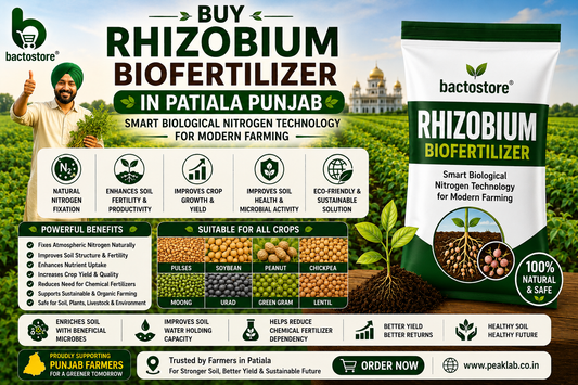 Buy Rhizobium Biofertilizer in Patiala Punjab – Smart Biological Nitrogen Technology for Modern Farming