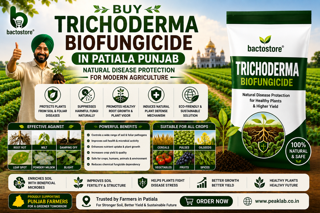 Buy Trichoderma Biofungicide in Patiala Punjab – Natural Disease Protection for Modern Agriculture