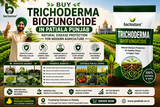 Buy Trichoderma Biofungicide in Patiala Punjab – Natural Disease Protection for Modern Agriculture