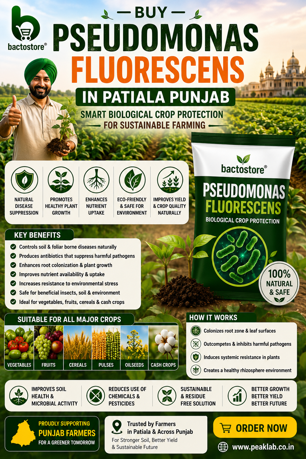 Buy Pseudomonas Fluorescens in Patiala Punjab – Smart Biological Crop Protection for Sustainable Farming