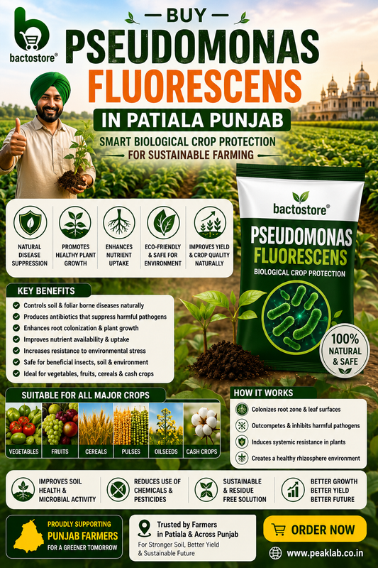 Buy Pseudomonas Fluorescens in Patiala Punjab – Smart Biological Crop Protection for Sustainable Farming