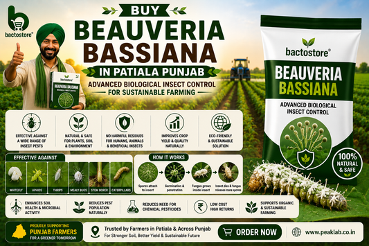 Buy Beauveria Bassiana in Patiala Punjab – Advanced Biological Insect Control for Sustainable Farming
