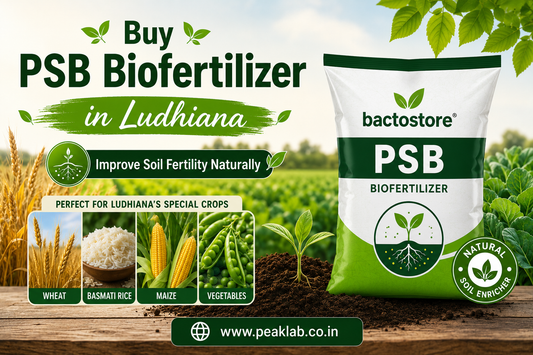 Buy PSB Biofertilizer in Ludhiana – Improve Soil Fertility Naturally