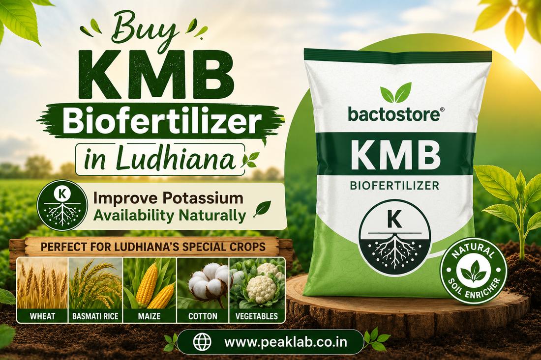Buy KMB Biofertilizer in Ludhiana – Improve Potassium Availability Naturally