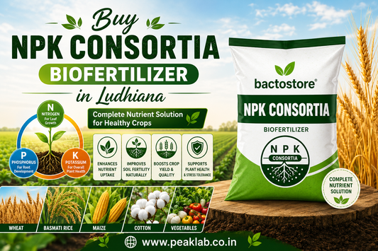Buy NPK Consortia Biofertilizer in Ludhiana – Complete Nutrient Solution for Healthy Crops