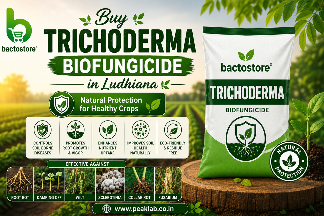 Buy Trichoderma Biofungicide in Ludhiana – Natural Protection for Healthy Crops