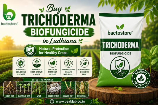 Buy Trichoderma Biofungicide in Ludhiana – Natural Protection for Healthy Crops