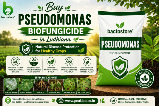 Buy Pseudomonas Biofungicide in Ludhiana – Natural Disease Protection for Healthy Crops