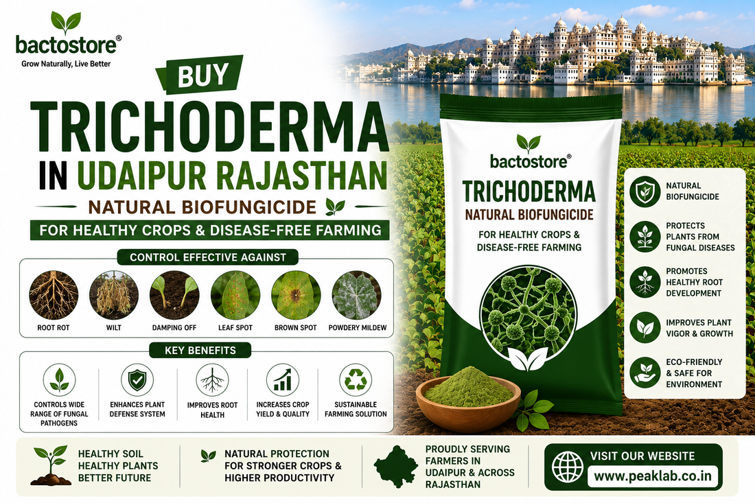 Buy Trichoderma in Udaipur Rajasthan – Natural Biofungicide for Healthy Crops and Disease-Free Farming