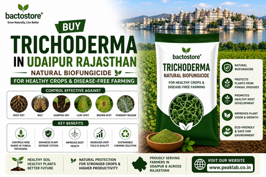 Buy Trichoderma in Udaipur Rajasthan – Natural Biofungicide for Healthy Crops and Disease-Free Farming