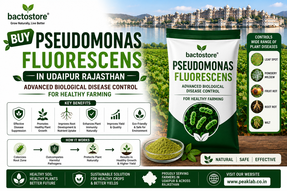 Buy Pseudomonas Fluorescens in Udaipur Rajasthan – Advanced Biological Disease Control for Healthy Farming