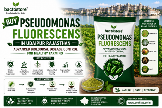 Buy Pseudomonas Fluorescens in Udaipur Rajasthan – Advanced Biological Disease Control for Healthy Farming