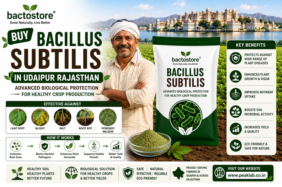 Buy Bacillus Subtilis in Udaipur Rajasthan – Advanced Biological Protection for Healthy Crop Production