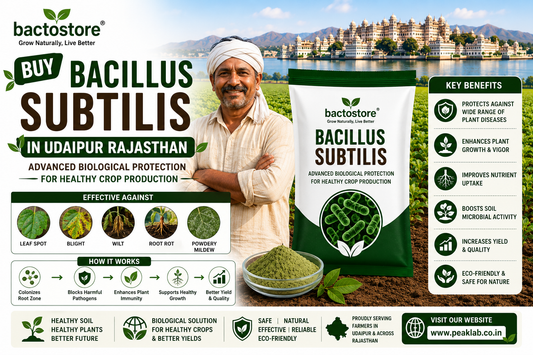 Buy Bacillus Subtilis in Udaipur Rajasthan – Advanced Biological Protection for Healthy Crop Production