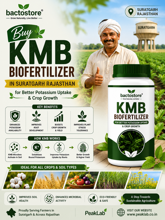 Buy KMB Biofertilizer in Suratgarh Rajasthan – Natural Potassium Solution for Healthy Crop Production