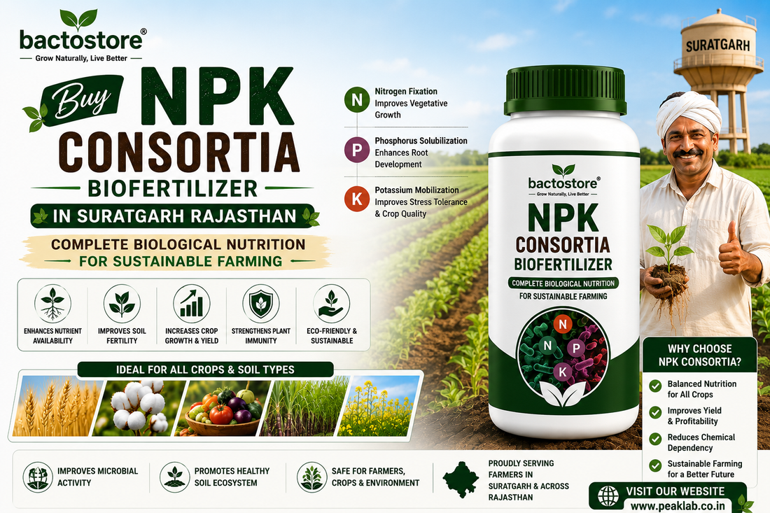 Buy NPK Consortia Biofertilizer in Suratgarh Rajasthan – Complete Biological Nutrition for Sustainable Farming