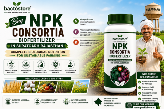 Buy NPK Consortia Biofertilizer in Suratgarh Rajasthan – Complete Biological Nutrition for Sustainable Farming