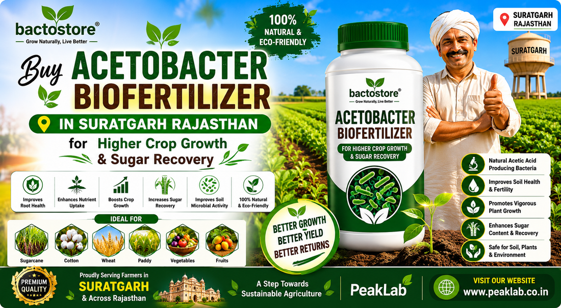 Buy Acetobacter Biofertilizer in Suratgarh Rajasthan for Higher Crop Growth & Sugar Recovery | PeakLab