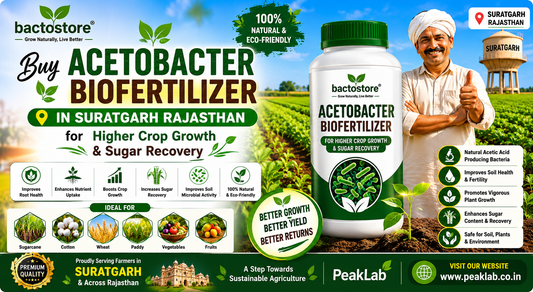 Buy Acetobacter Biofertilizer in Suratgarh Rajasthan for Higher Crop Growth & Sugar Recovery | PeakLab