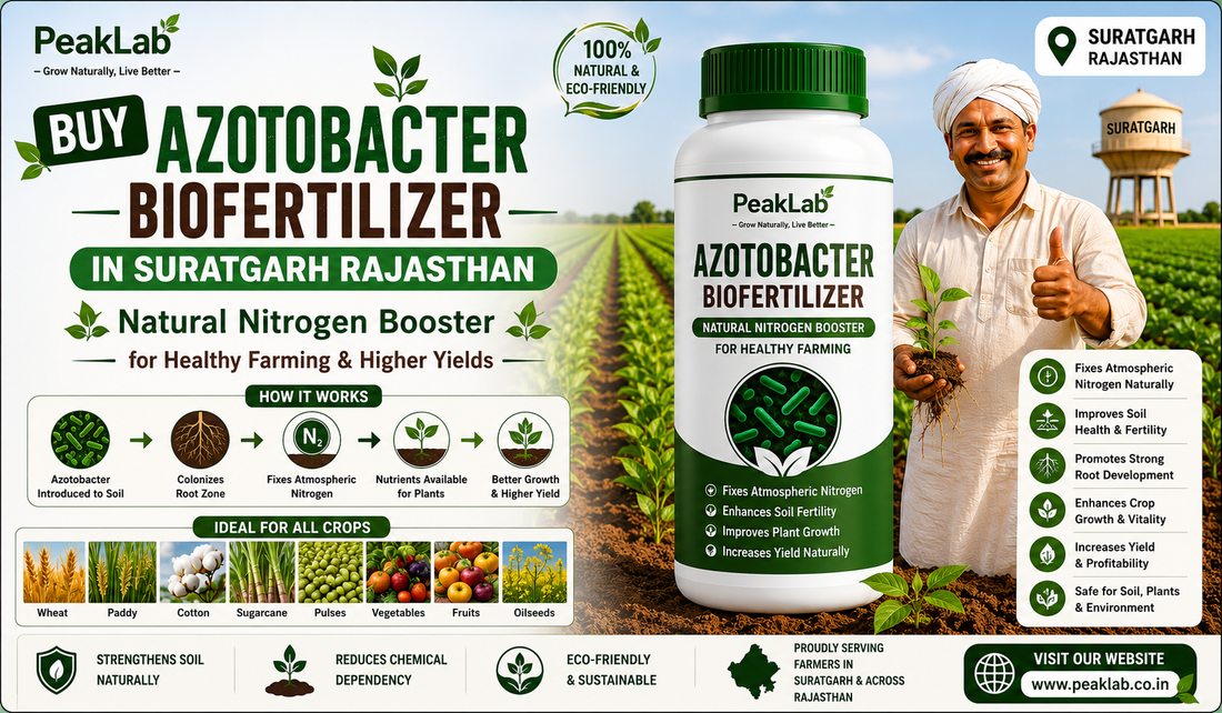 Buy Azotobacter Biofertilizer in Suratgarh Rajasthan – Natural Nitrogen Booster for Healthy Farming