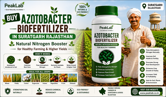Buy Azotobacter Biofertilizer in Suratgarh Rajasthan – Natural Nitrogen Booster for Healthy Farming