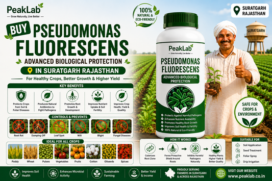Buy Pseudomonas Fluorescens in Suratgarh Rajasthan – Advanced Biological Protection for Healthy Crops