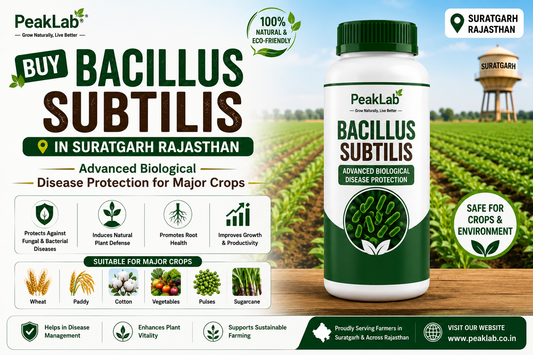Buy Bacillus Subtilis in Suratgarh Rajasthan – Advanced Biological Disease Protection for Major Crops