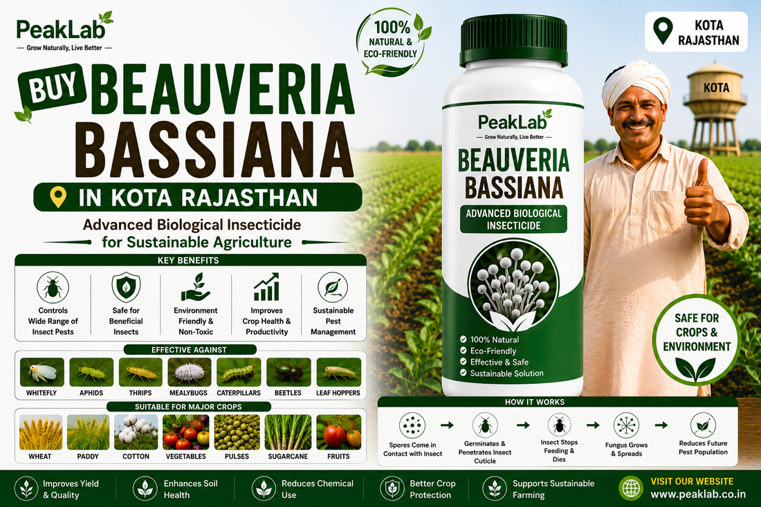 Buy Beauveria Bassiana in Kota Rajasthan – Advanced Biological Insecticide for Sustainable Agriculture