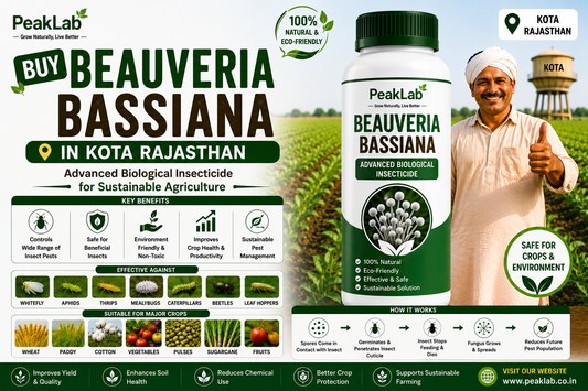 Buy Beauveria Bassiana in Kota Rajasthan – Advanced Biological Insecticide for Sustainable Agriculture
