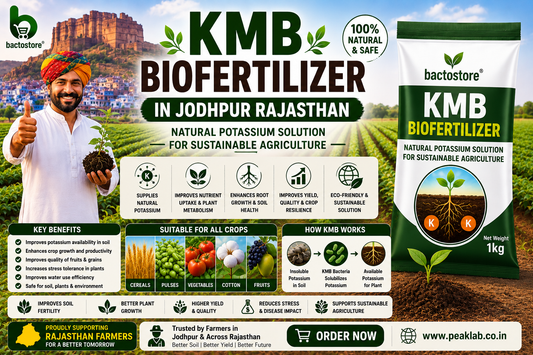 KMB Biofertilizer in Jodhpur Rajasthan – Natural Potassium Solution for Sustainable Agriculture