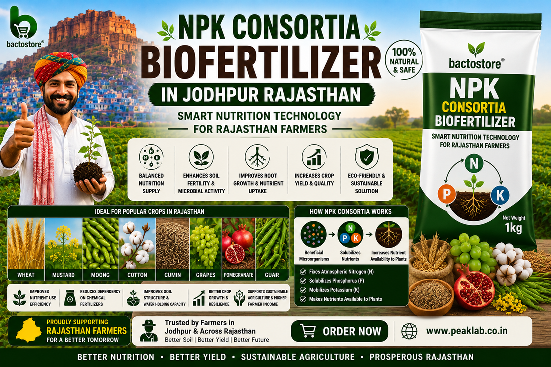 Buy NPK Consortia Biofertilizer in Jodhpur Rajasthan – Smart Nutrition Technology for Rajasthan Farmers