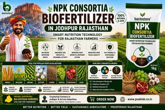 Buy NPK Consortia Biofertilizer in Jodhpur Rajasthan – Smart Nutrition Technology for Rajasthan Farmers