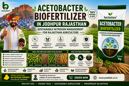Buy Acetobacter Biofertilizer in Jodhpur Rajasthan – Sustainable Nitrogen Management for Rajasthan Agriculture