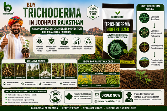 Buy Trichoderma in Jodhpur Rajasthan – Advanced Biological Disease Protection for Rajasthan Farmers