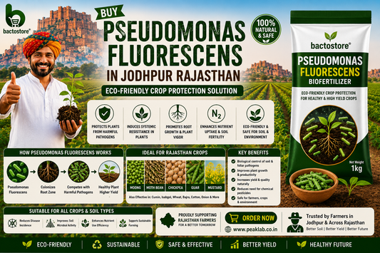 Buy Pseudomonas Fluorescens in Jodhpur Rajasthan – Eco-Friendly Crop Protection Solution