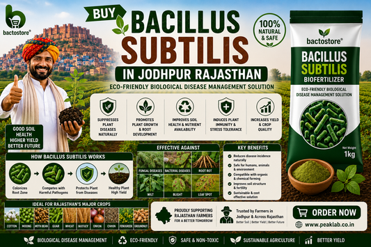 Buy Bacillus Subtilis in Jodhpur Rajasthan – Eco-Friendly Biological Disease Management Solution