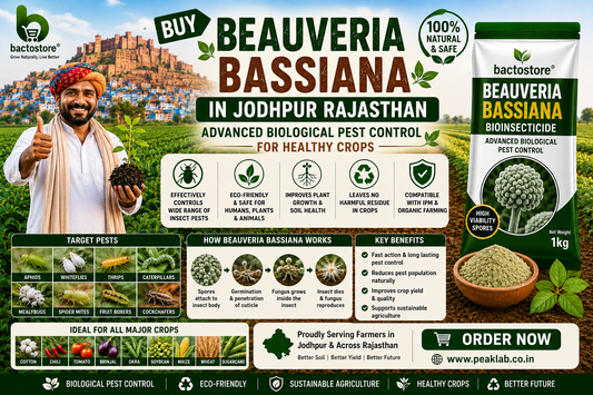 Buy Beauveria Bassiana in Jodhpur Rajasthan – Advanced Biological Pest Control for Healthy Crops