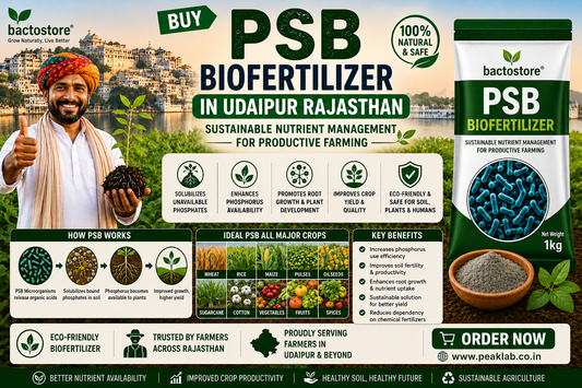 Buy PSB Biofertilizer in Udaipur Rajasthan – Sustainable Nutrient Management for Productive Farming