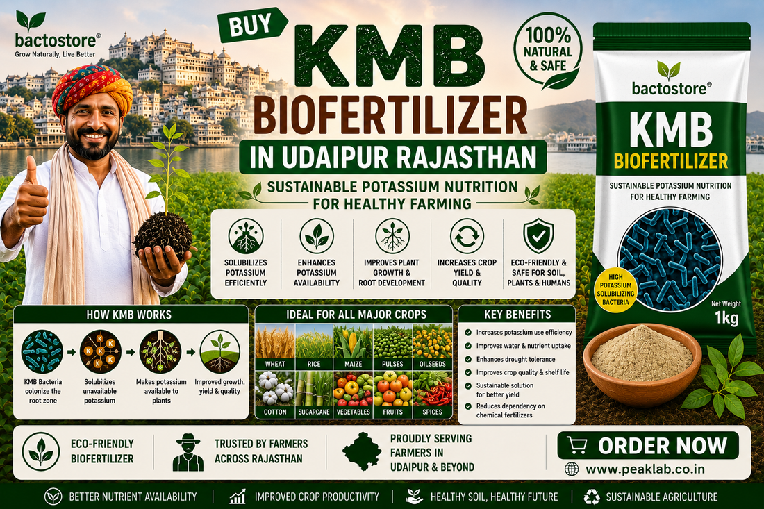 Buy KMB Biofertilizer in Udaipur Rajasthan – Sustainable Potassium Nutrition for Healthy Farming
