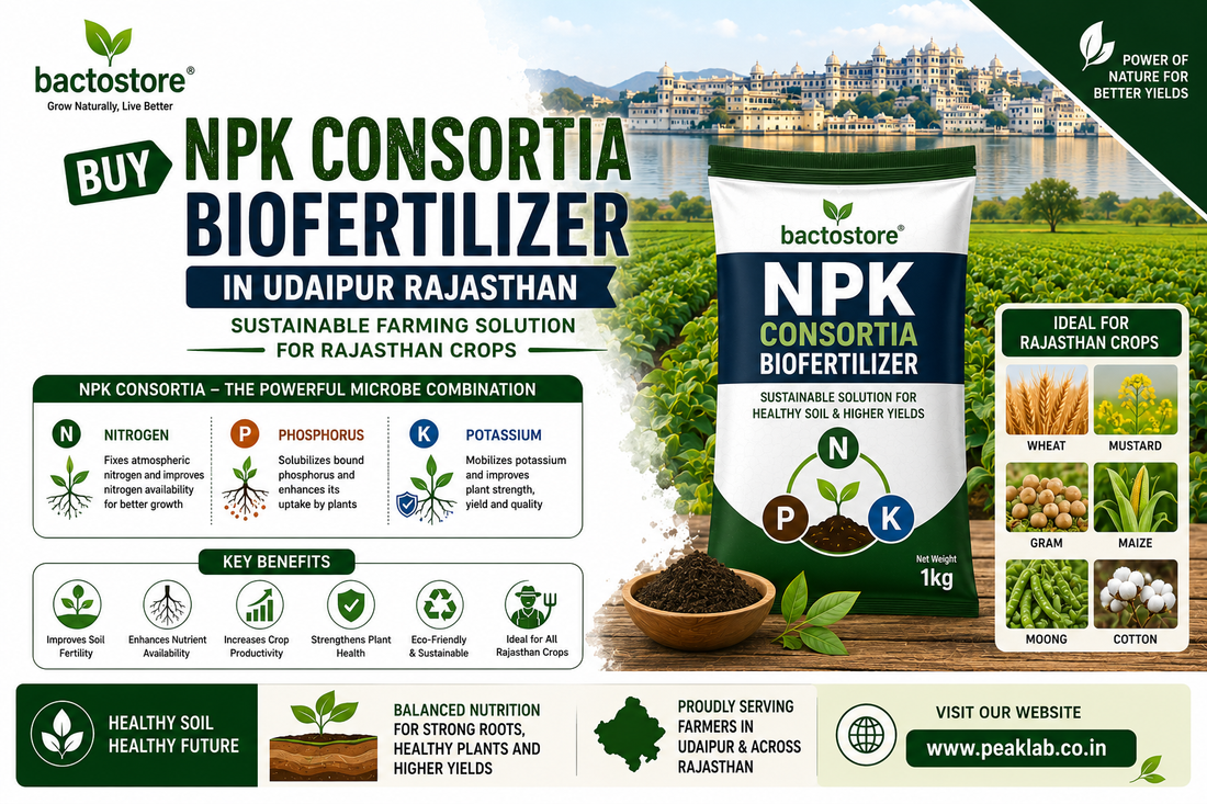 Buy NPK Consortia Biofertilizer in Udaipur Rajasthan – Sustainable Farming Solution for Rajasthan Crops