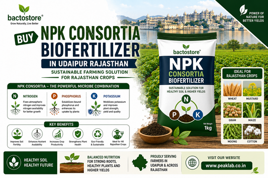 Buy NPK Consortia Biofertilizer in Udaipur Rajasthan – Sustainable Farming Solution for Rajasthan Crops