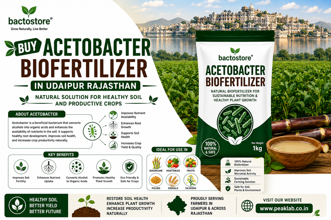 Buy Acetobacter Biofertilizer in Udaipur Rajasthan