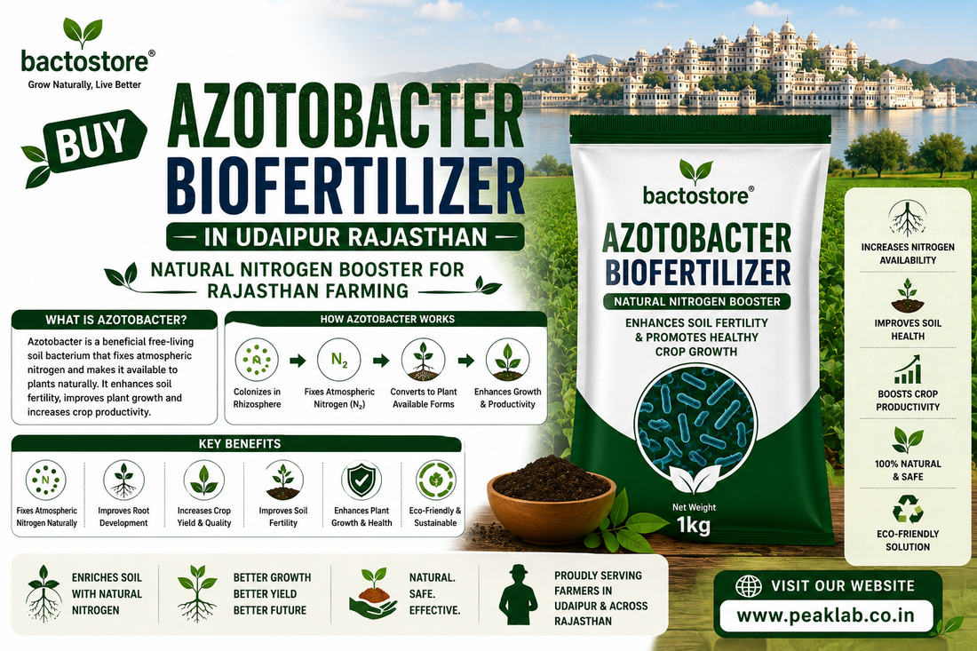 Buy Azotobacter Biofertilizer in Udaipur Rajasthan – Natural Nitrogen Booster for Rajasthan Farming