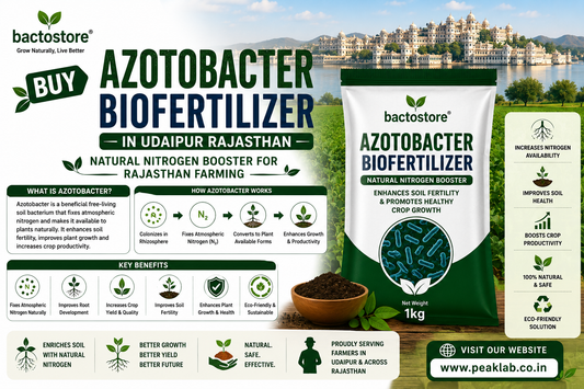 Buy Azotobacter Biofertilizer in Udaipur Rajasthan – Natural Nitrogen Booster for Rajasthan Farming