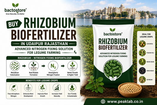 Buy Rhizobium Biofertilizer in Udaipur Rajasthan – Advanced Nitrogen Fixing Solution for Legume Farming