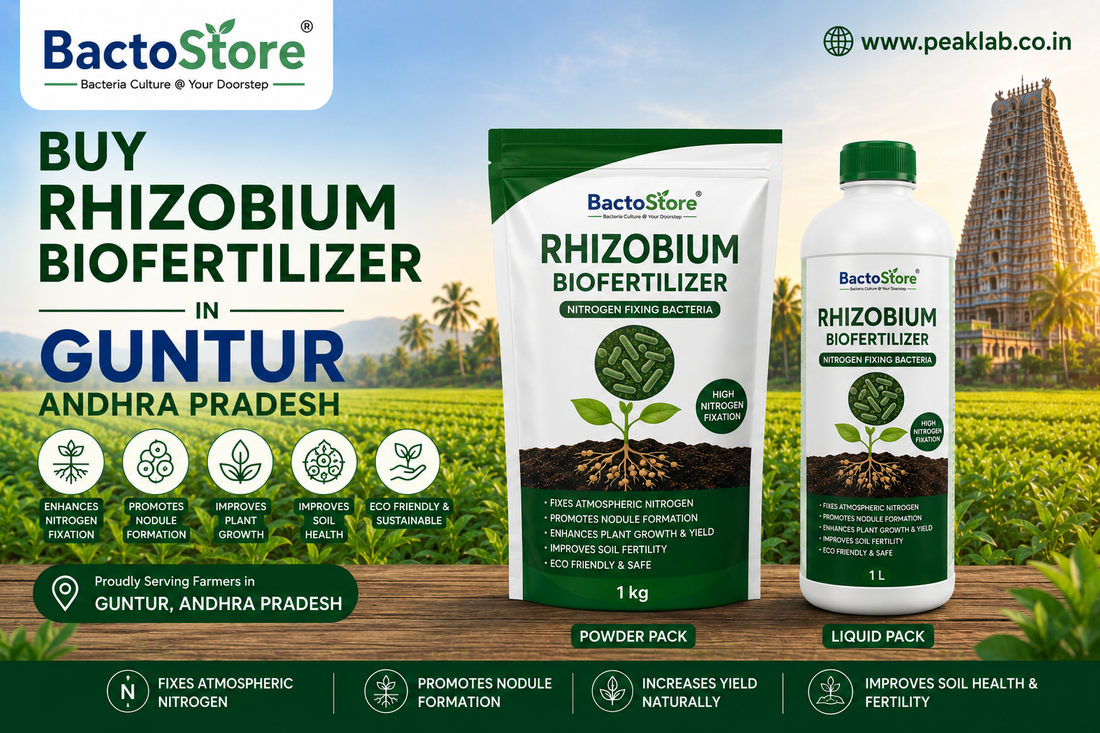 Buy Rhizobium Biofertilizer in Guntur Andhra Pradesh