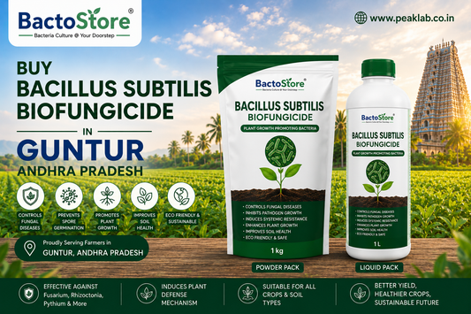 Buy Bacillus Subtilis Biofungicide in Guntur Andhra Pradesh